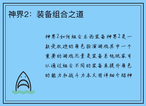 神界2：装备组合之道